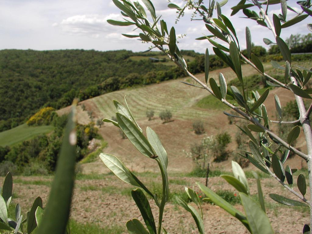 Willa Casa Guaitoli Terme di Petriolo Zewnętrze zdjęcie