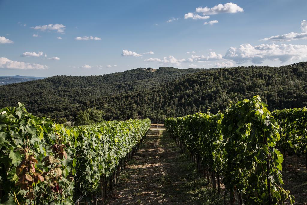 Willa Casa Guaitoli Terme di Petriolo Zewnętrze zdjęcie