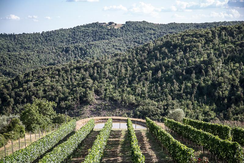 Willa Casa Guaitoli Terme di Petriolo Zewnętrze zdjęcie