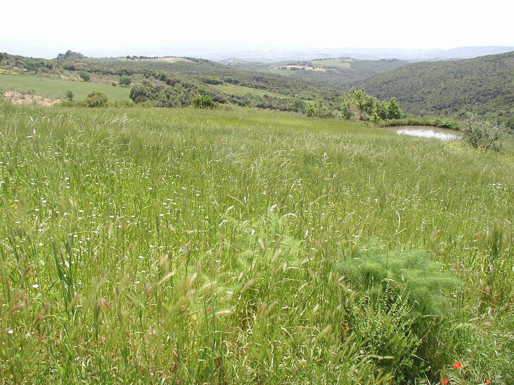 Willa Casa Guaitoli Terme di Petriolo Zewnętrze zdjęcie
