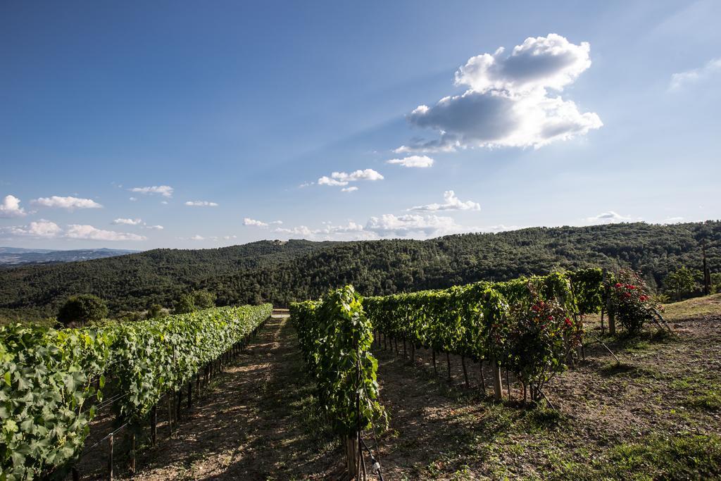 Willa Casa Guaitoli Terme di Petriolo Zewnętrze zdjęcie