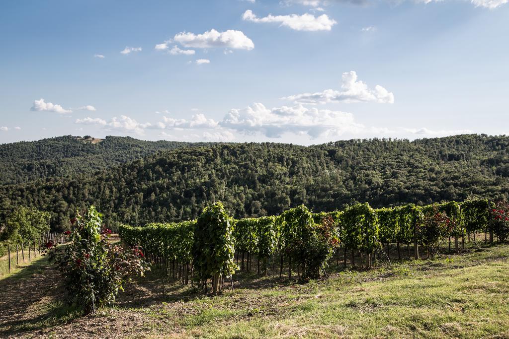 Willa Casa Guaitoli Terme di Petriolo Zewnętrze zdjęcie