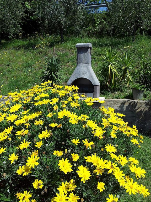 Willa Casa Guaitoli Terme di Petriolo Zewnętrze zdjęcie