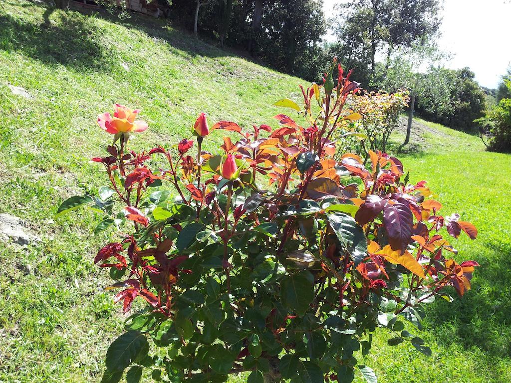 Willa Casa Guaitoli Terme di Petriolo Zewnętrze zdjęcie