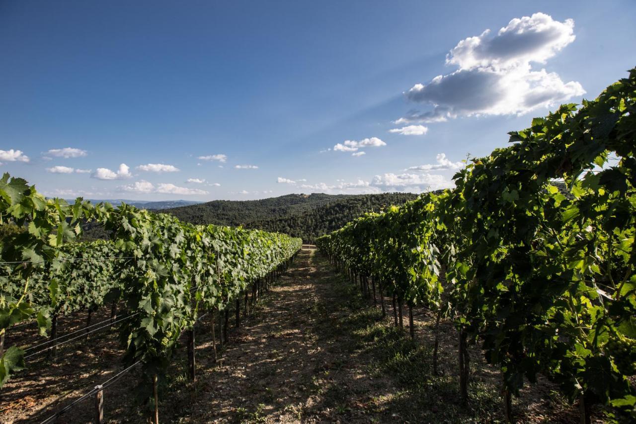 Willa Casa Guaitoli Terme di Petriolo Zewnętrze zdjęcie